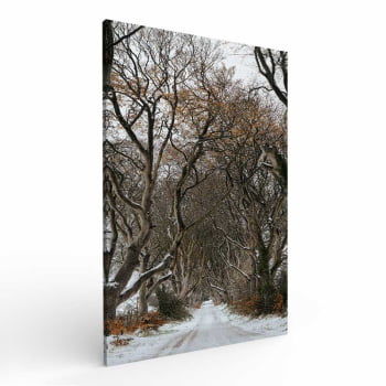 Quadro Retangular - Trilha de Inverno