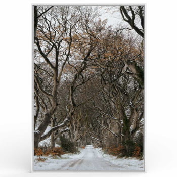Quadro Retangular - Trilha de Inverno
