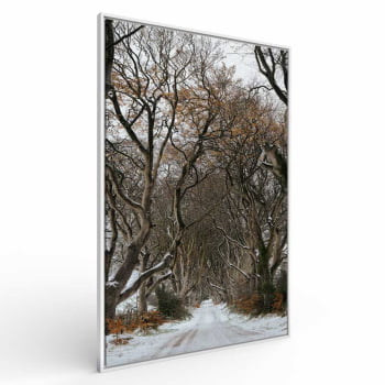 Quadro Retangular - Trilha de Inverno