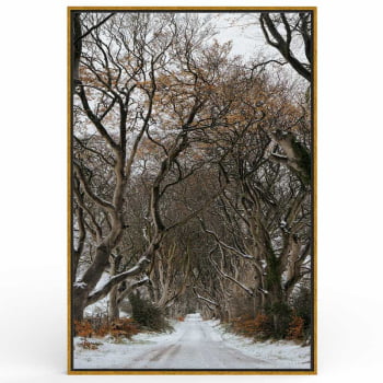 Quadro Retangular - Trilha de Inverno