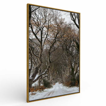 Quadro Retangular - Trilha de Inverno
