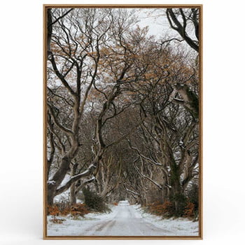 Quadro Retangular - Trilha de Inverno