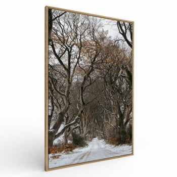 Quadro Retangular - Trilha de Inverno