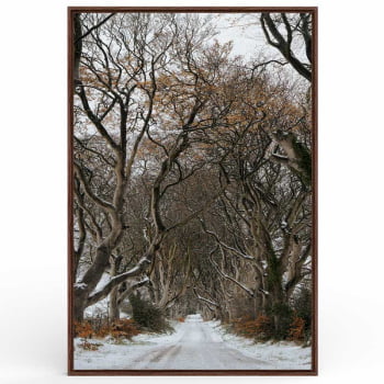 Quadro Retangular - Trilha de Inverno