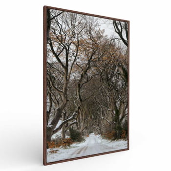 Quadro Retangular - Trilha de Inverno