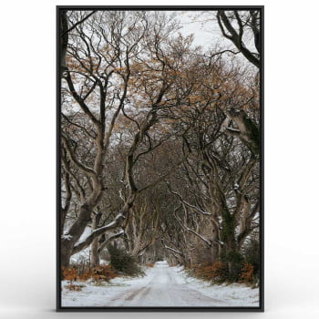 Quadro Retangular - Trilha de Inverno