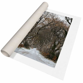 Quadro Retangular - Trilha de Inverno