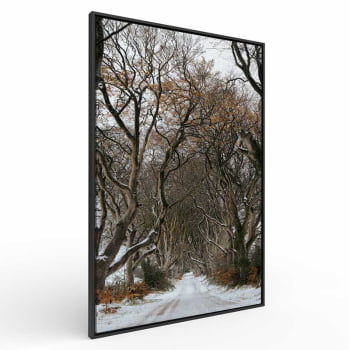 Quadro Retangular - Trilha de Inverno