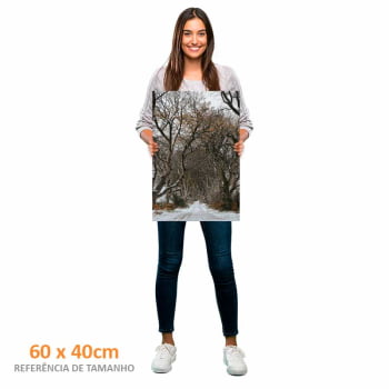 Quadro Retangular - Trilha de Inverno