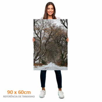 Quadro Retangular - Trilha de Inverno