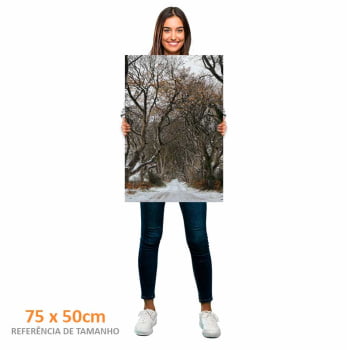 Quadro Retangular - Trilha de Inverno