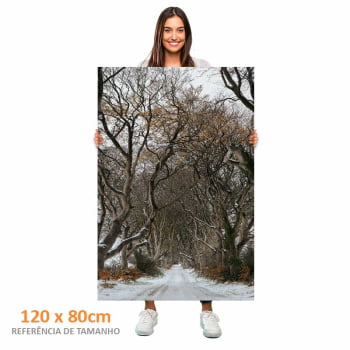 Quadro Retangular - Trilha de Inverno