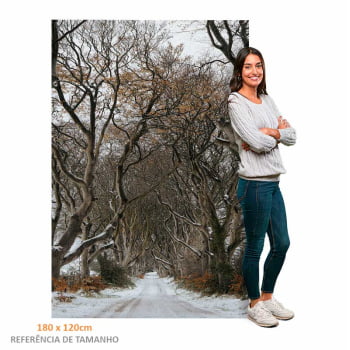 Quadro Retangular - Trilha de Inverno