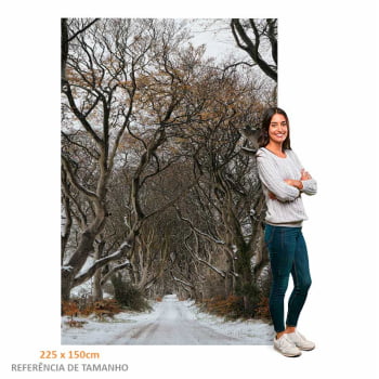 Quadro Retangular - Trilha de Inverno