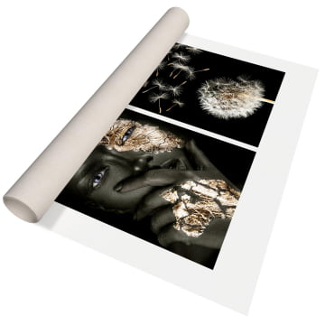 Kit 2 quadros retangulares - A Mulher Dourada e o Dente-de-leão em close