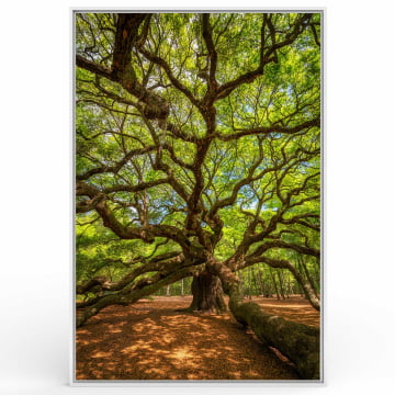 Quadro Retangular  - Árvore da vida - Grandes galhos