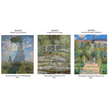 Kit 3 quadros retangulares - TRIO MONET I