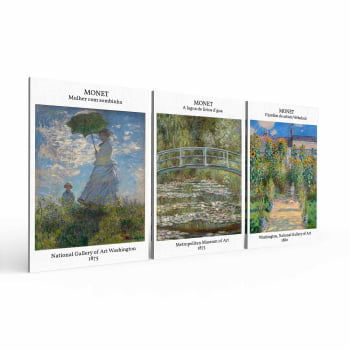 Kit 3 quadros retangulares - TRIO MONET I