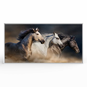 Quadro panorâmico -  Trio de cavalos