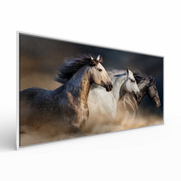 Quadro panorâmico -  Trio de cavalos
