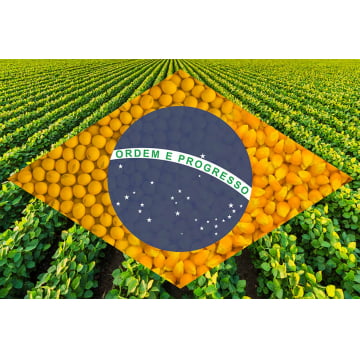 Quadro Retangular  - Bandeira Agro 