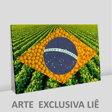 Quadro Retangular  - Bandeira Agro 