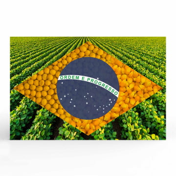 Quadro Retangular  - Bandeira Agro 