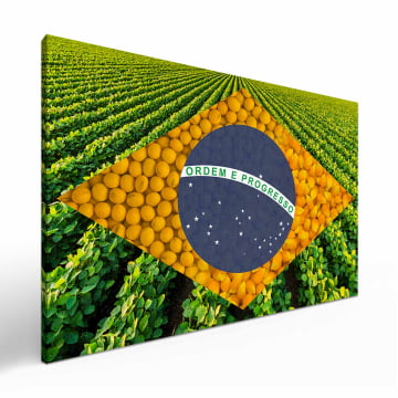 Quadro Retangular  - Bandeira Agro 