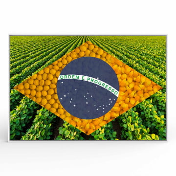 Quadro Retangular  - Bandeira Agro 