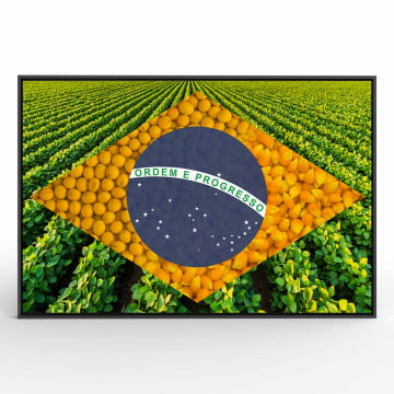 Quadro Retangular  - Bandeira Agro 