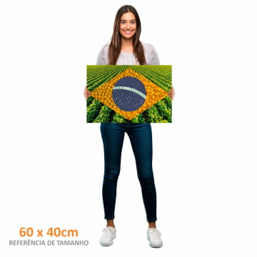 Quadro Retangular  - Bandeira Agro 