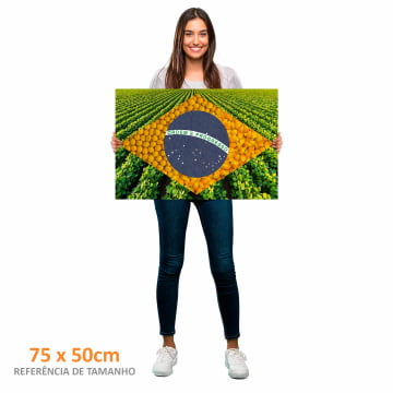 Quadro Retangular  - Bandeira Agro 