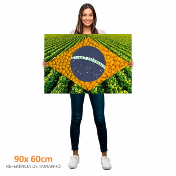 Quadro Retangular  - Bandeira Agro 