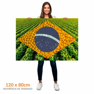 Quadro Retangular  - Bandeira Agro 