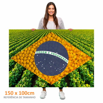 Quadro Retangular  - Bandeira Agro 