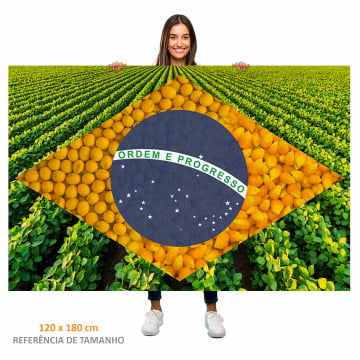 Quadro Retangular  - Bandeira Agro 