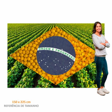 Quadro Retangular  - Bandeira Agro 